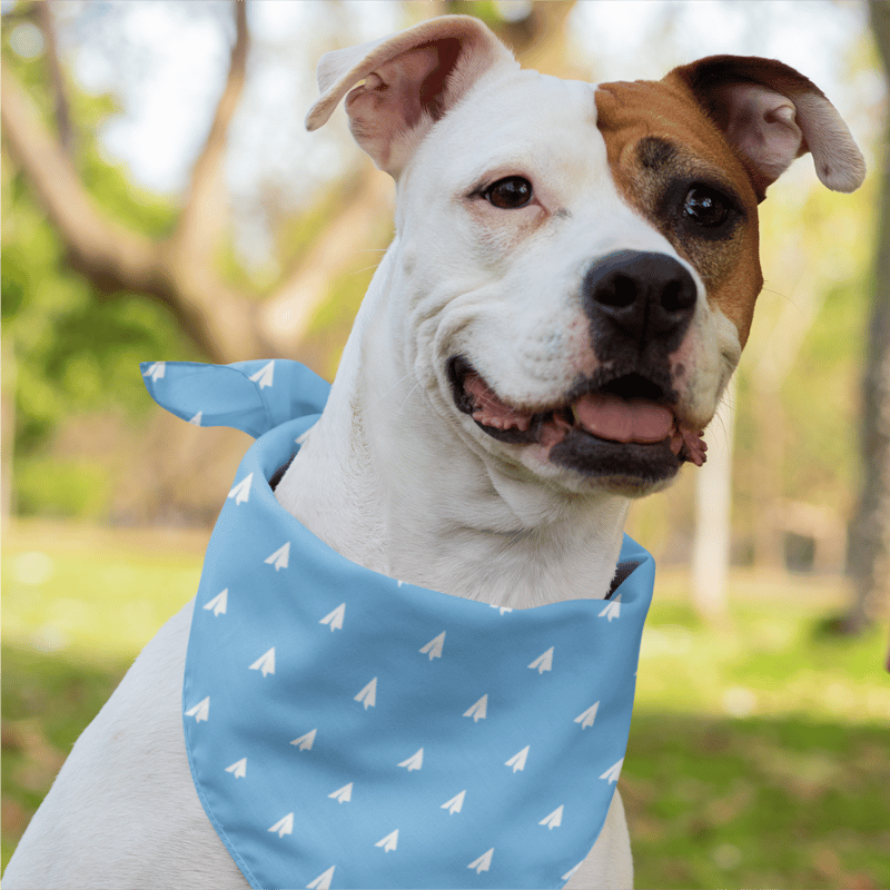 Offline & Outside Dog Bandana - image2